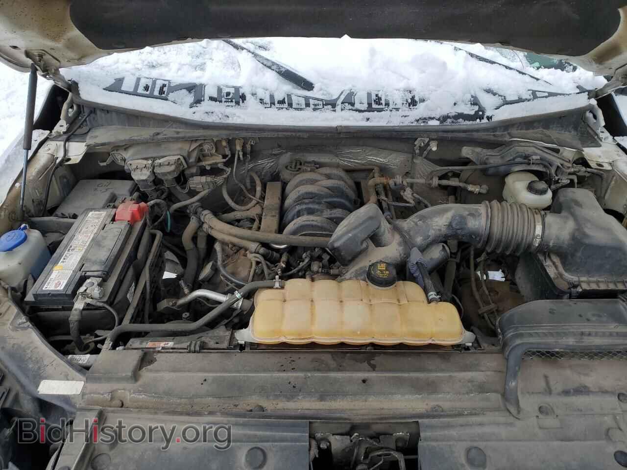 2017 FORD All Models - VIN: 1FTMF1EF9HKD03488 - Photo 11