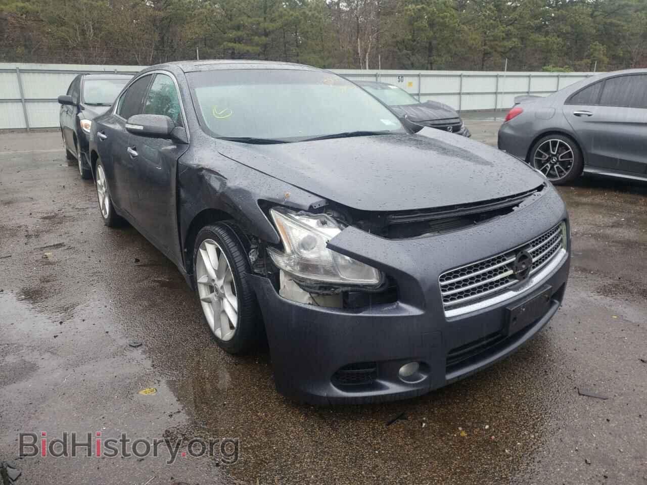 Фотография 1N4AA5AP1BC849443 - NISSAN MAXIMA 2011
