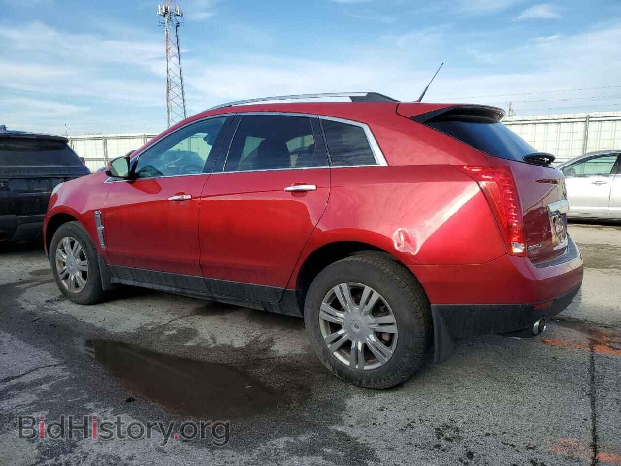 2011 CADILLAC SRX - VIN: 3GYFNDEY5BS525482 - Фото 2