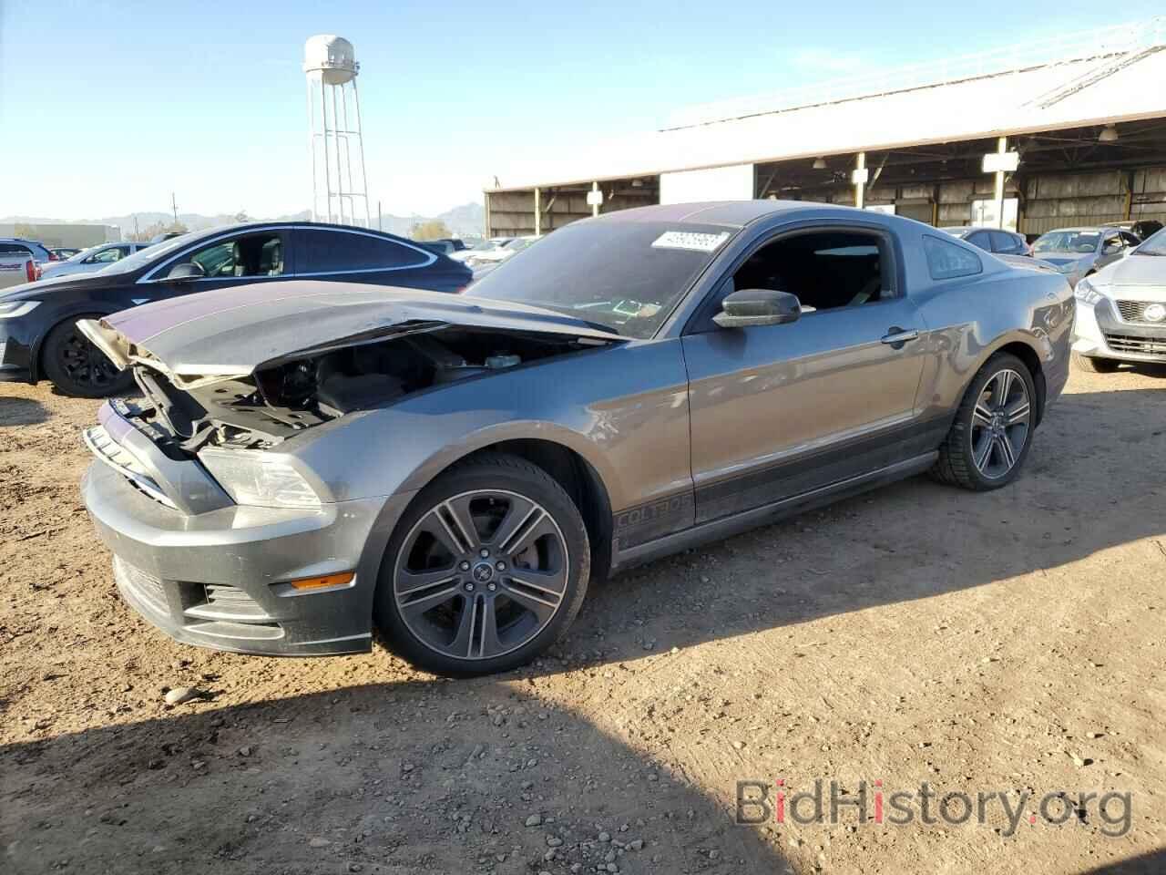 Photo 1ZVBP8AMXD5224273 - FORD MUSTANG 2013