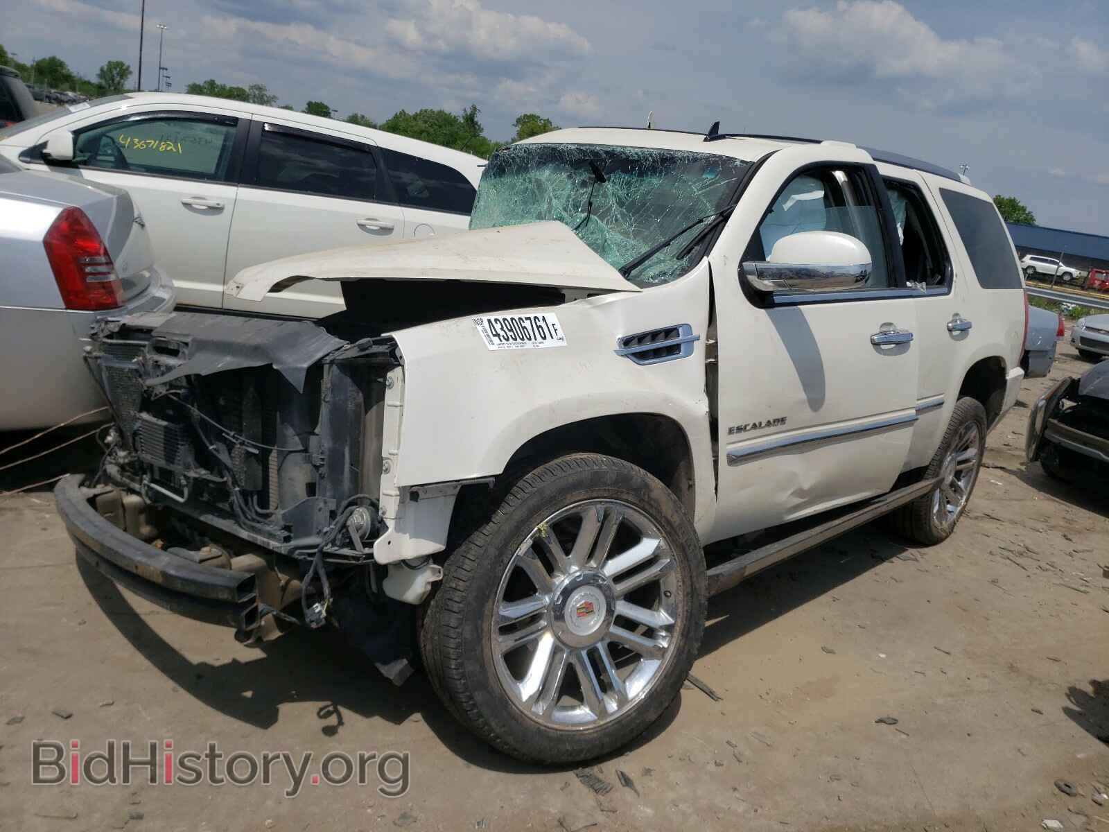2013 CADILLAC ESCALADE - VIN: 1GYS4DEF5DR238651 - Фото 2