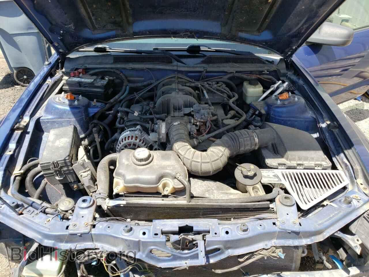 2006 FORD MUSTANG - VIN: 1ZVFT80N365237991 - Фото 7