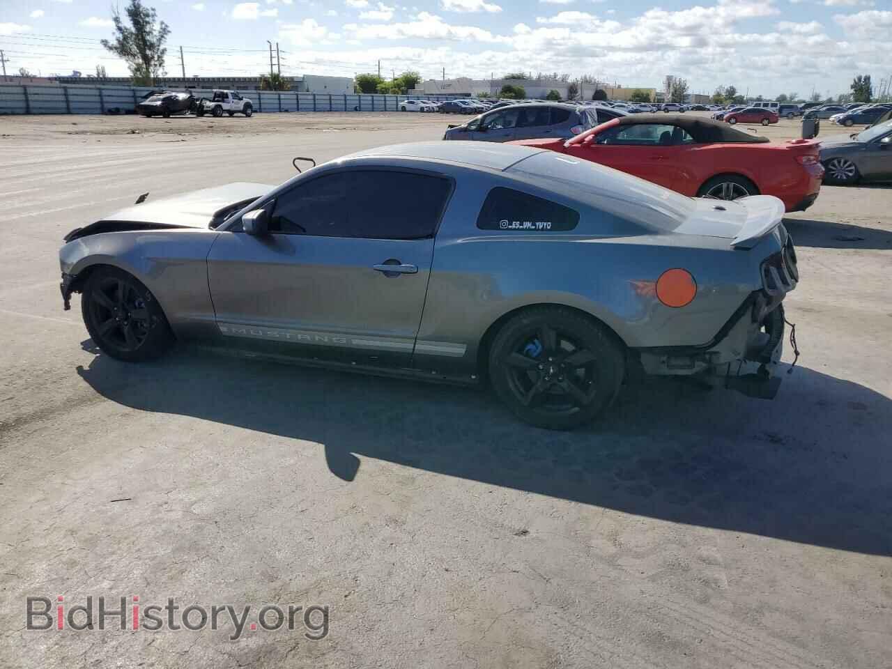 2013 FORD MUSTANG - VIN: 1ZVBP8AM8D5226152 - Фото 2