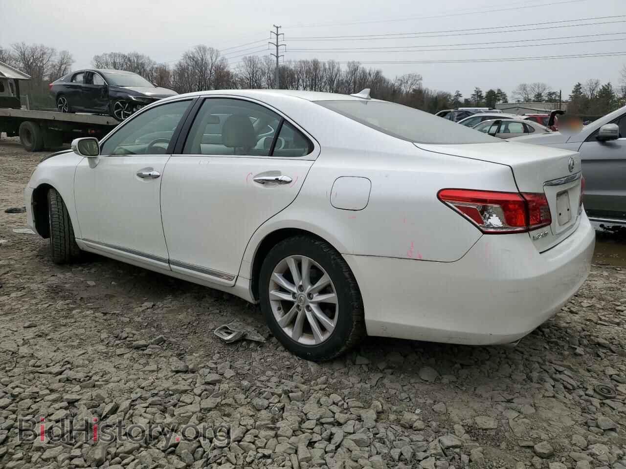 2010 LEXUS ES350 - VIN: JTHBK1EG2A2359143 - Фото 2