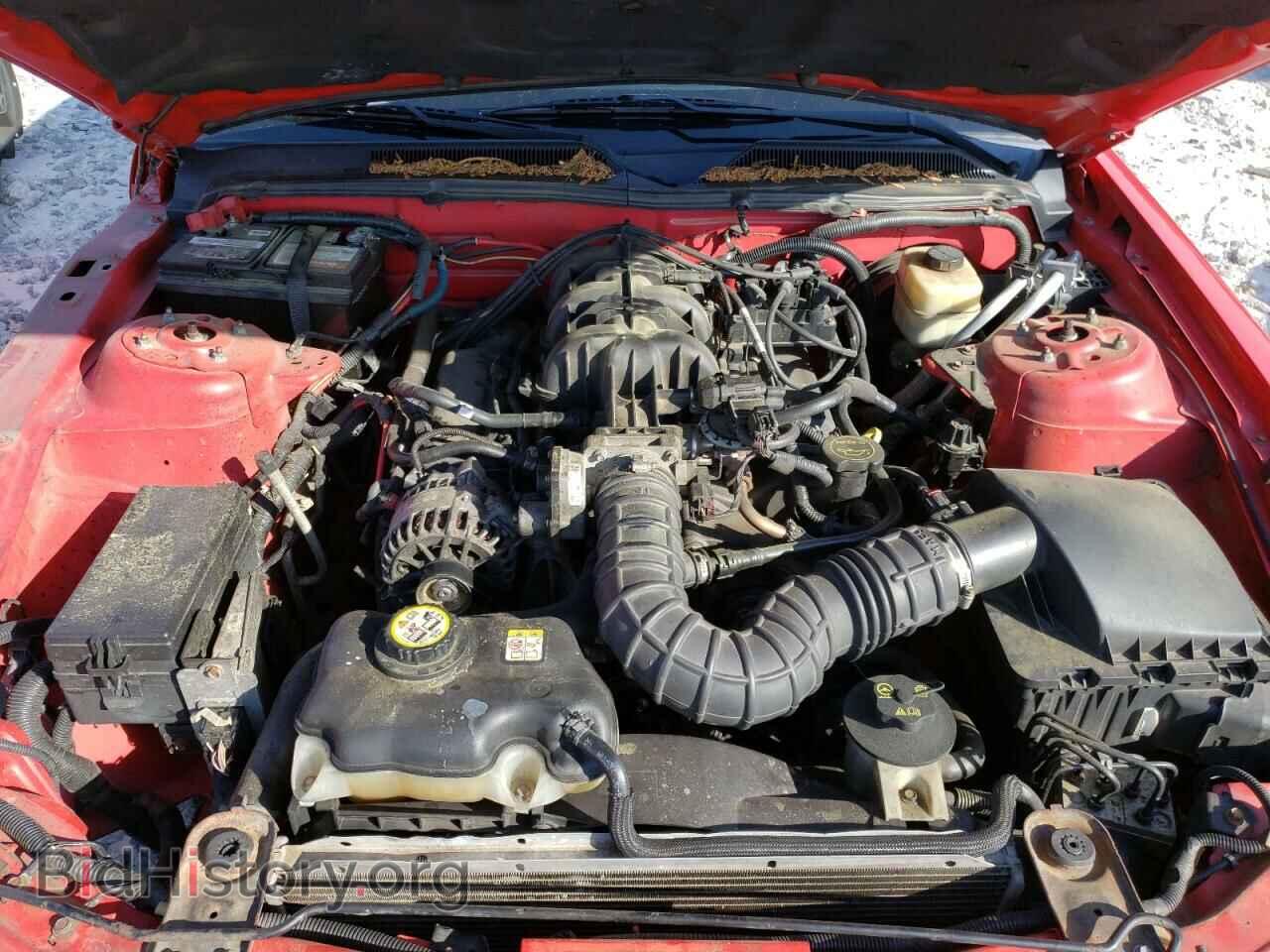 2006 FORD MUSTANG - VIN: 1ZVFT80N465210086 - Фото 7