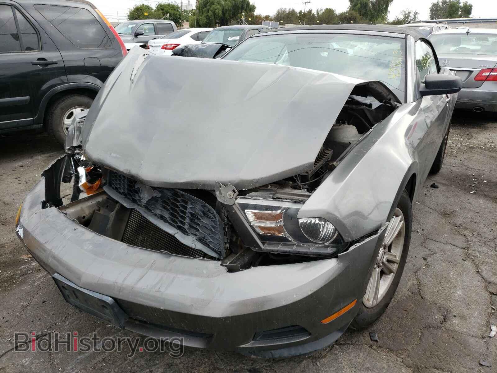 2011 FORD MUSTANG - VIN: 1ZVBP8EM7B5118077 - Фото 2