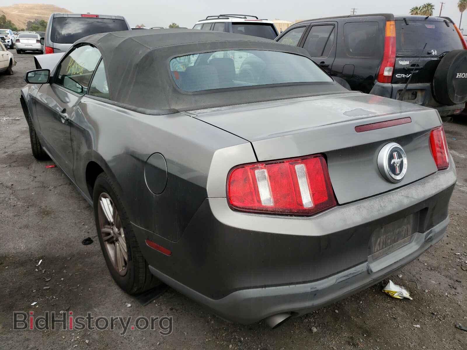 2011 FORD MUSTANG - VIN: 1ZVBP8EM7B5118077 - Фото 3