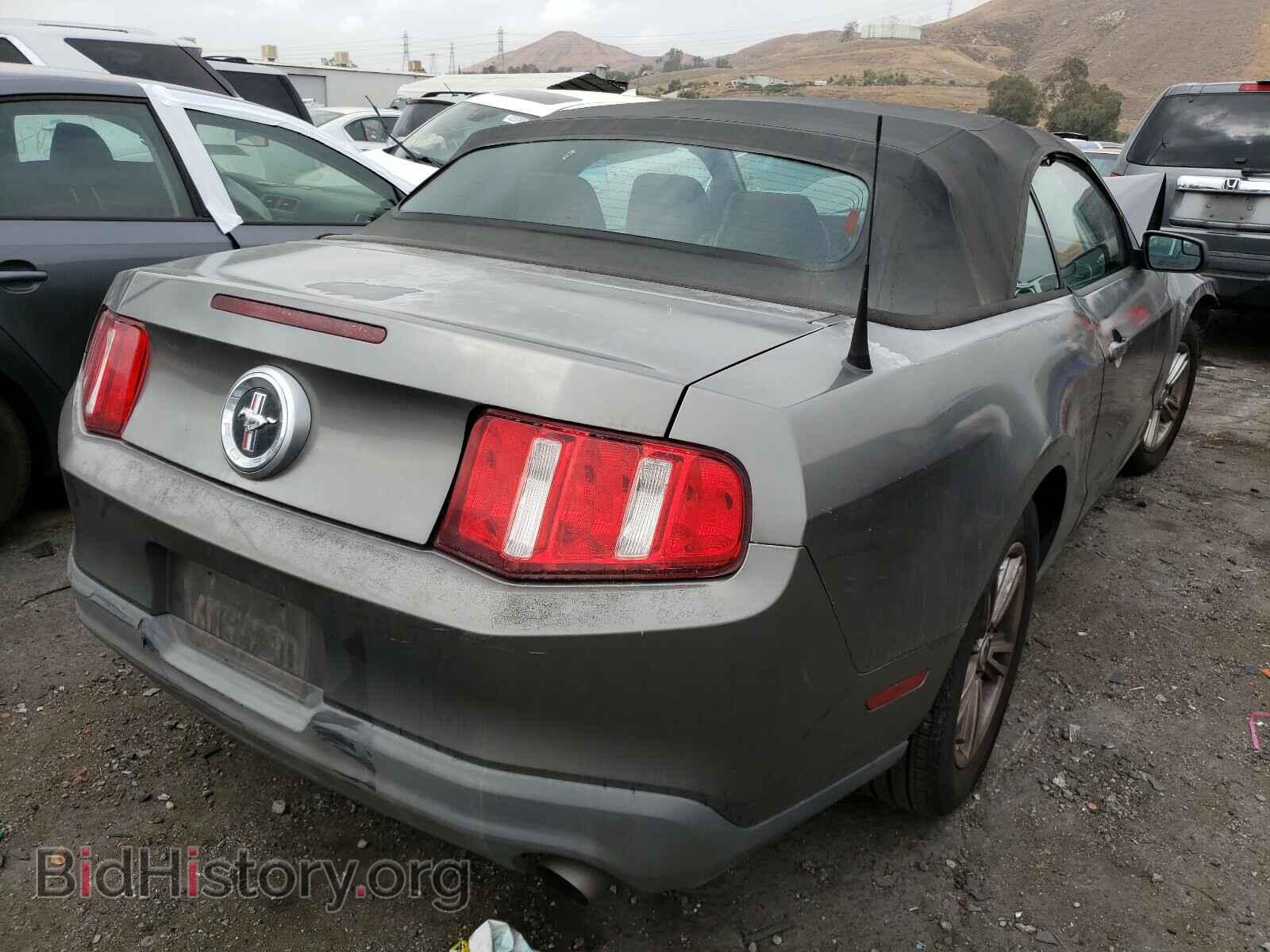 2011 FORD MUSTANG - VIN: 1ZVBP8EM7B5118077 - Фото 4