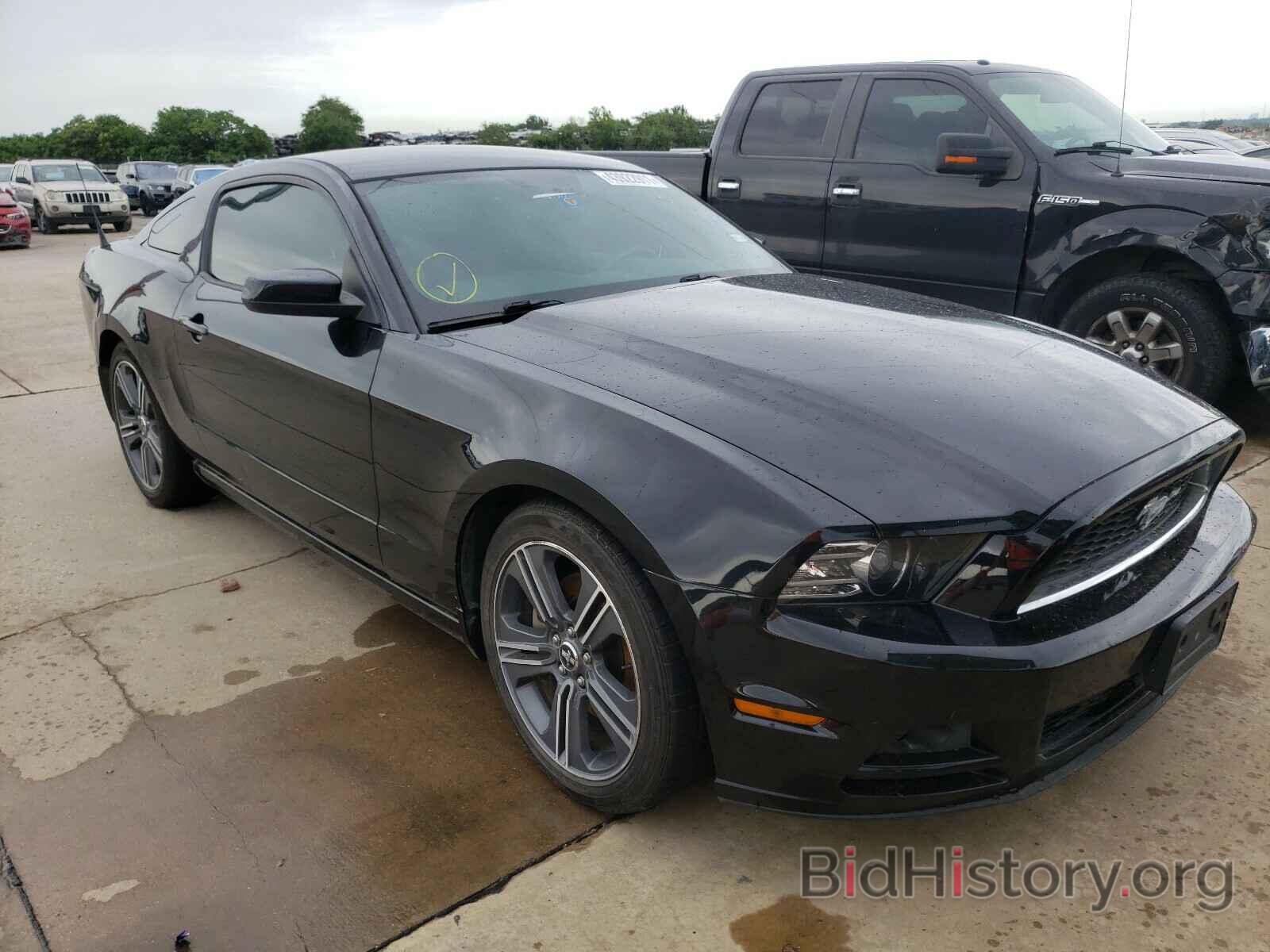 Photo 1ZVBP8AM3E5277575 - FORD MUSTANG 2014