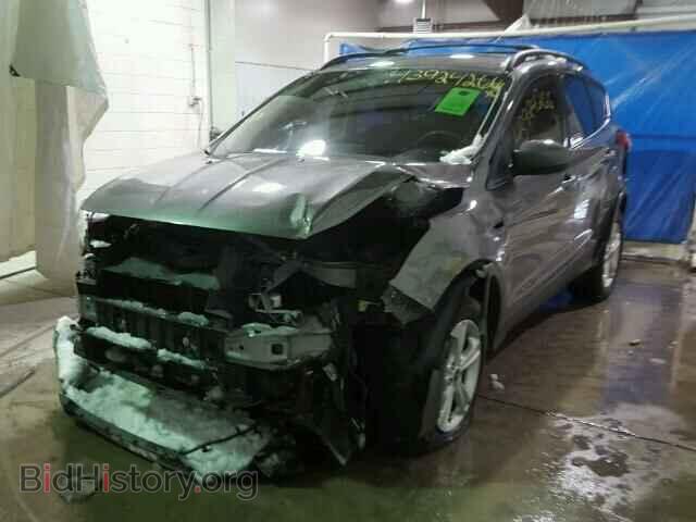 2013 FORD ESCAPE - VIN: 1FMCU0G95DUA55530 - Фото 2