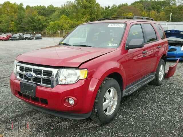 2011 FORD ESCAPE - VIN: 1FMCU0D79BKB44609 - Photo 2