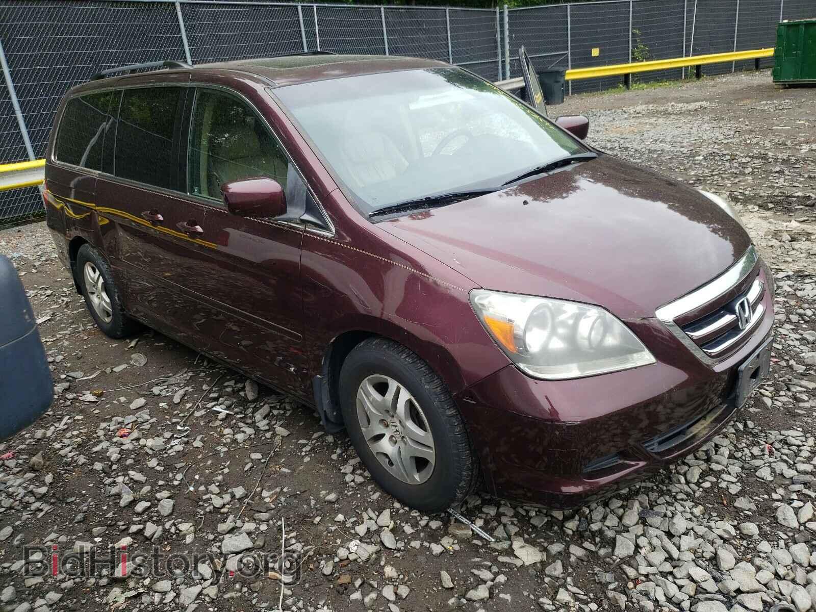 Фотография 5FNRL38707B413274 - HONDA ODYSSEY 2007