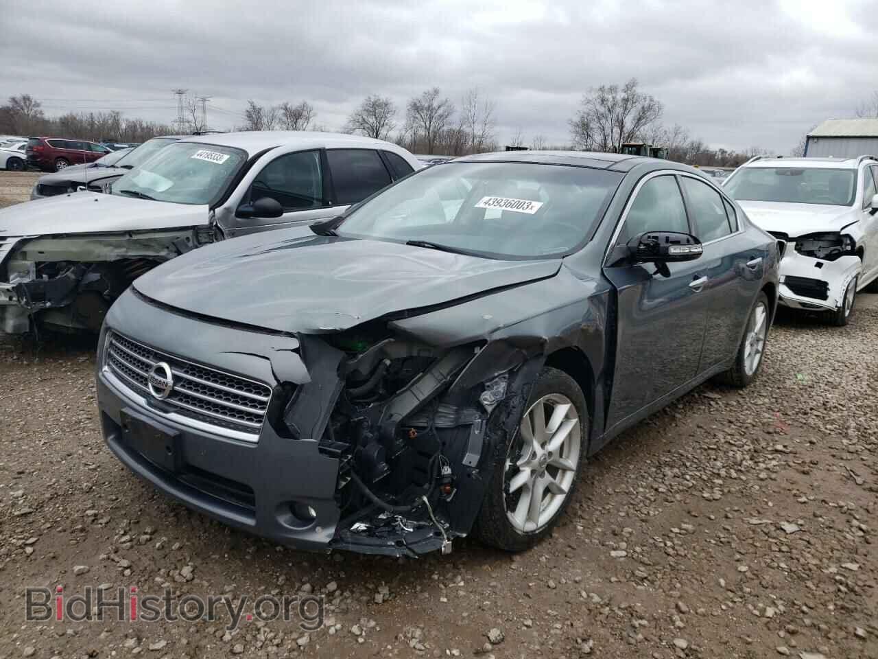 Фотография 1N4AA5AP7BC846787 - NISSAN MAXIMA 2011