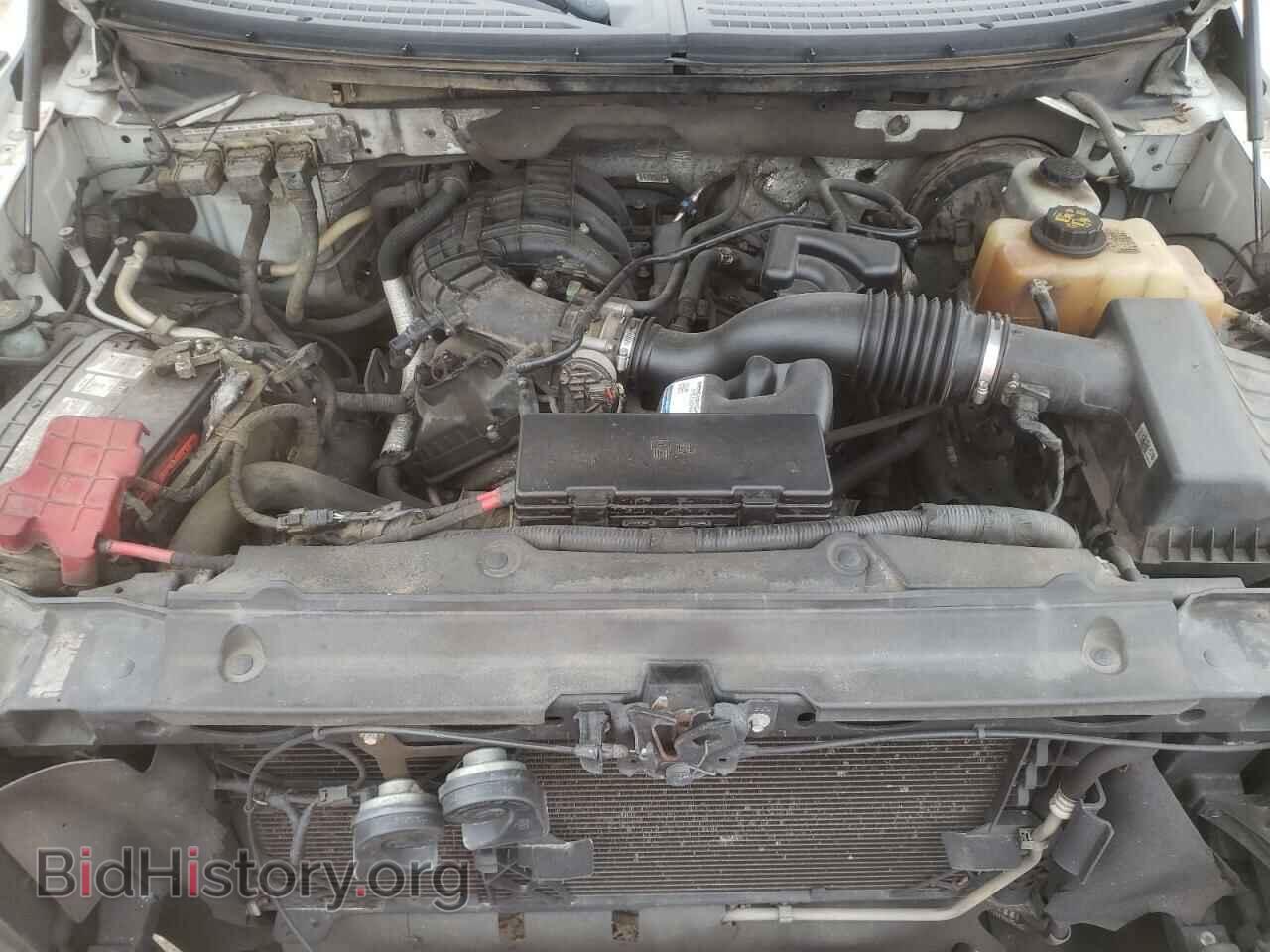 2013 FORD All Models - VIN: 1FTMF1CM4DKF34195 - Фото 11