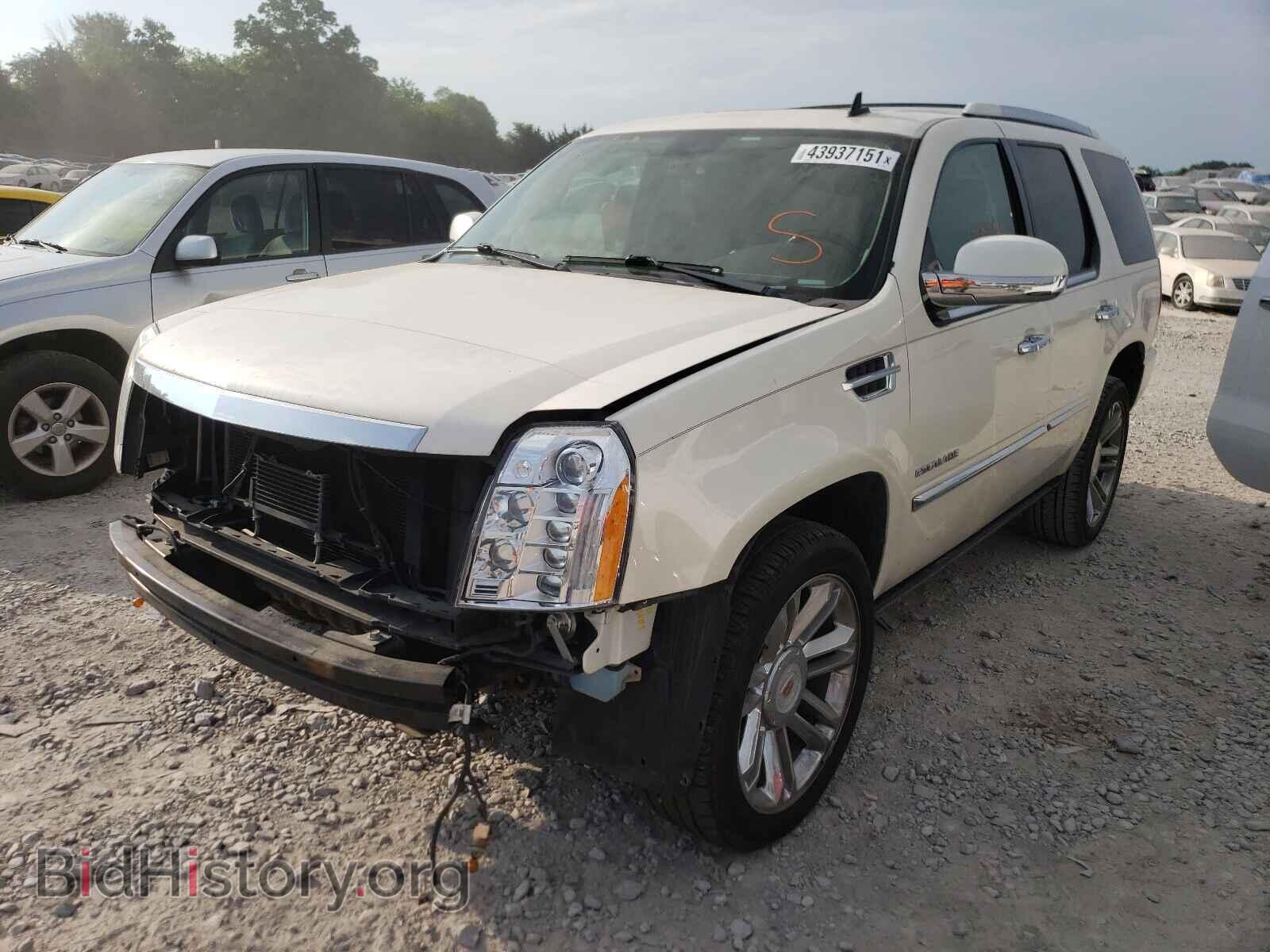 2013 CADILLAC ESCALADE - VIN: 1GYS4DEF5DR368493 - Фото 2