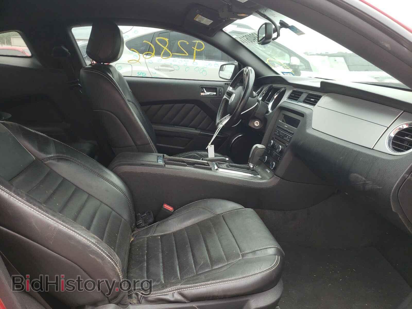 2013 FORD MUSTANG - VIN: 1ZVBP8AM8D5223798 - Фото 5