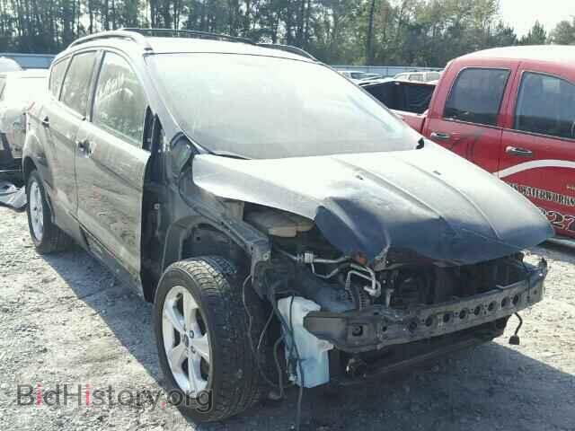 Photo 1FMCU9G96DUA18541 - FORD ESCAPE 2013