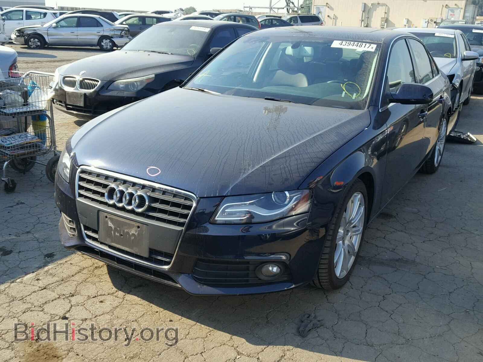 2011 AUDI A4 - VIN: WAUEFAFL5BN050908 - Photo 2