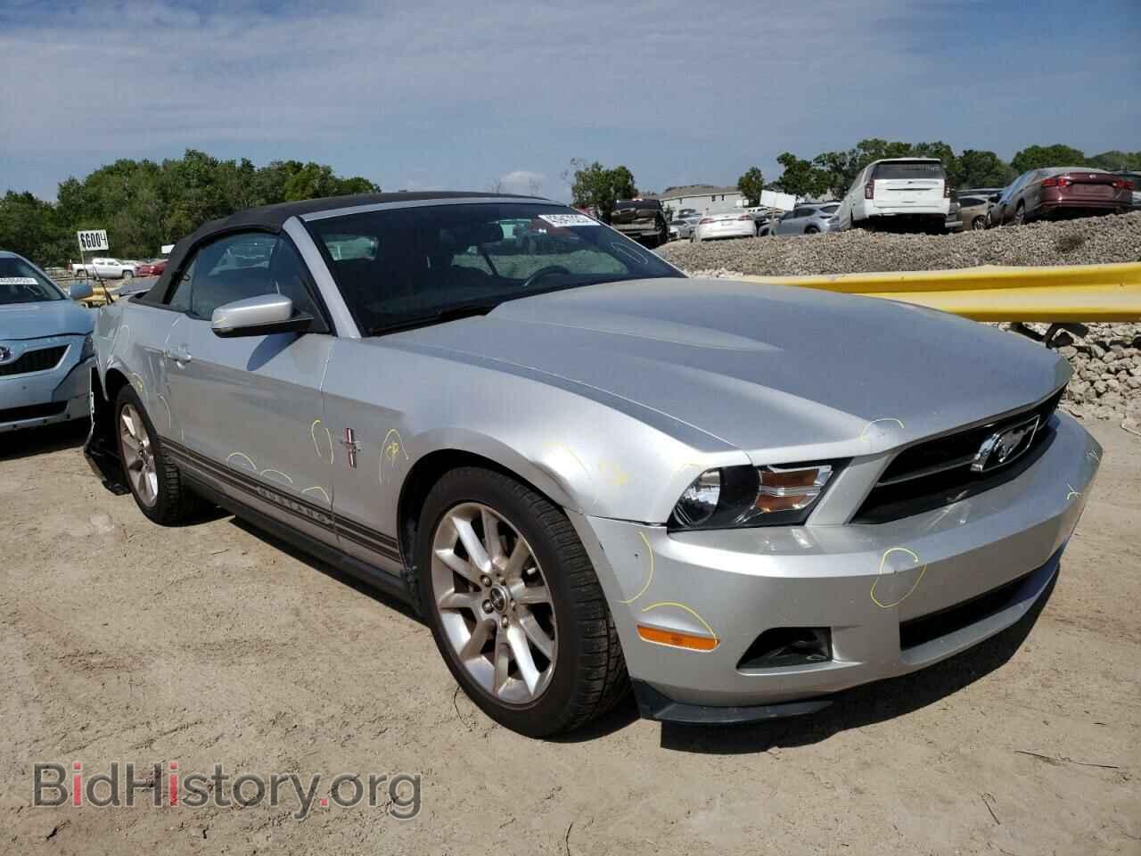 2010 FORD MUSTANG - VIN: 1ZVBP8EN3A5149995 - Фото 4