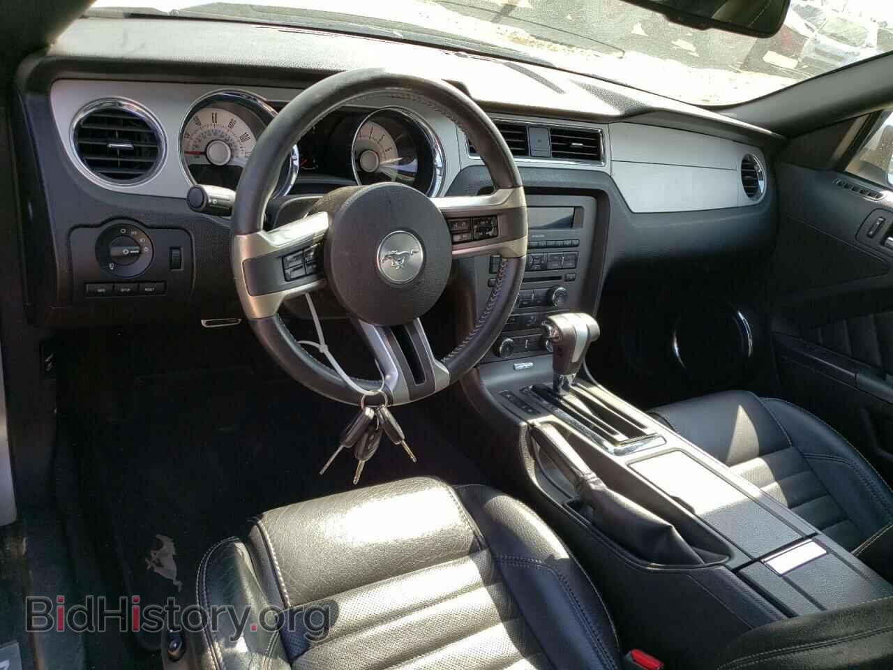 2010 FORD MUSTANG - VIN: 1ZVBP8EN3A5149995 - Фото 8