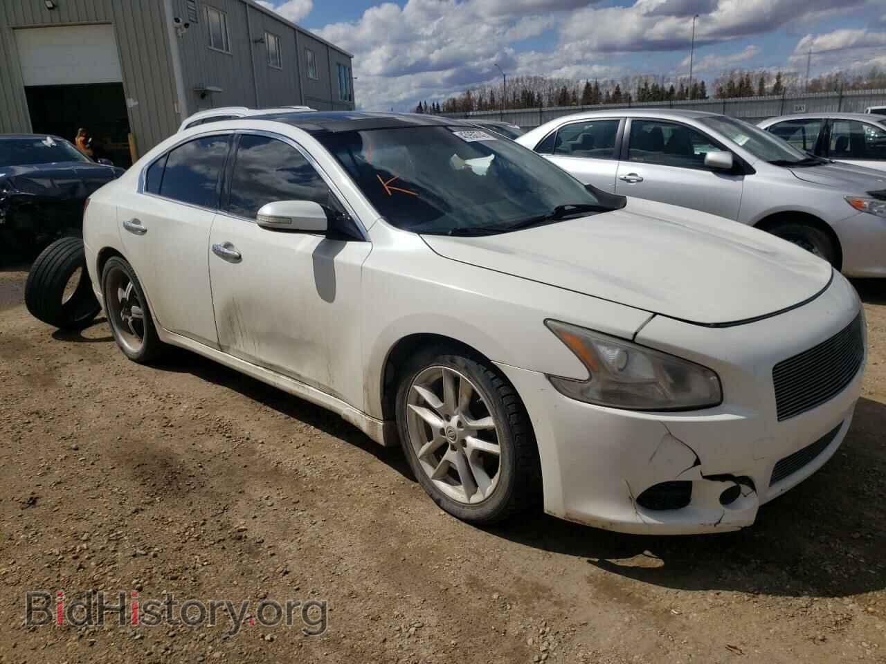 Photo 1N4AA51E49C814646 - NISSAN MAXIMA 2009