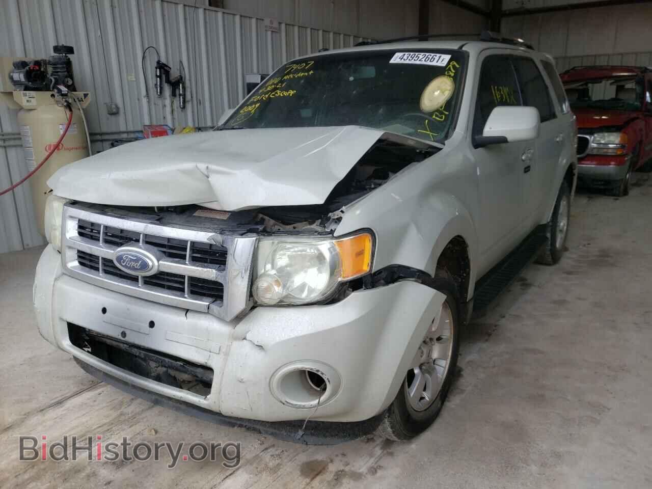 2009 FORD ESCAPE - VIN: 1FMCU04G09KA78879 - Фото 2