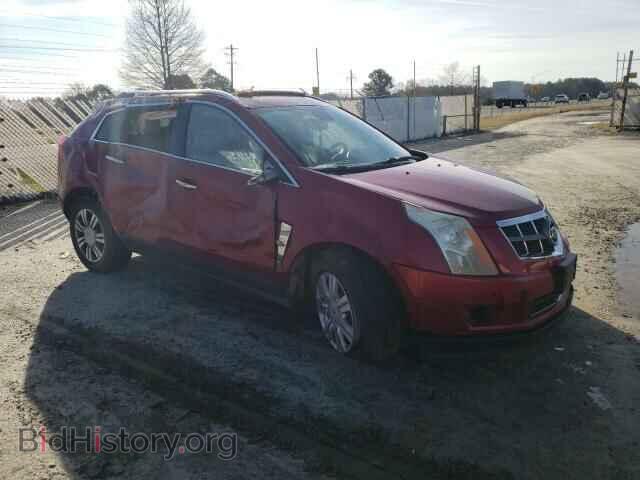 2010 CADILLAC SRX - VIN: 3GYFNDEY3AS631489 - Фото 4