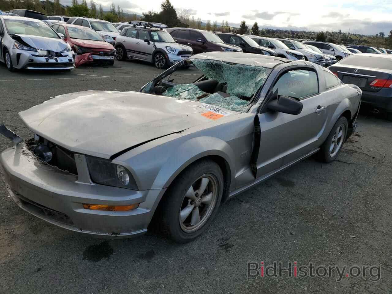 Photo 1ZVHT82H885160070 - FORD MUSTANG 2008