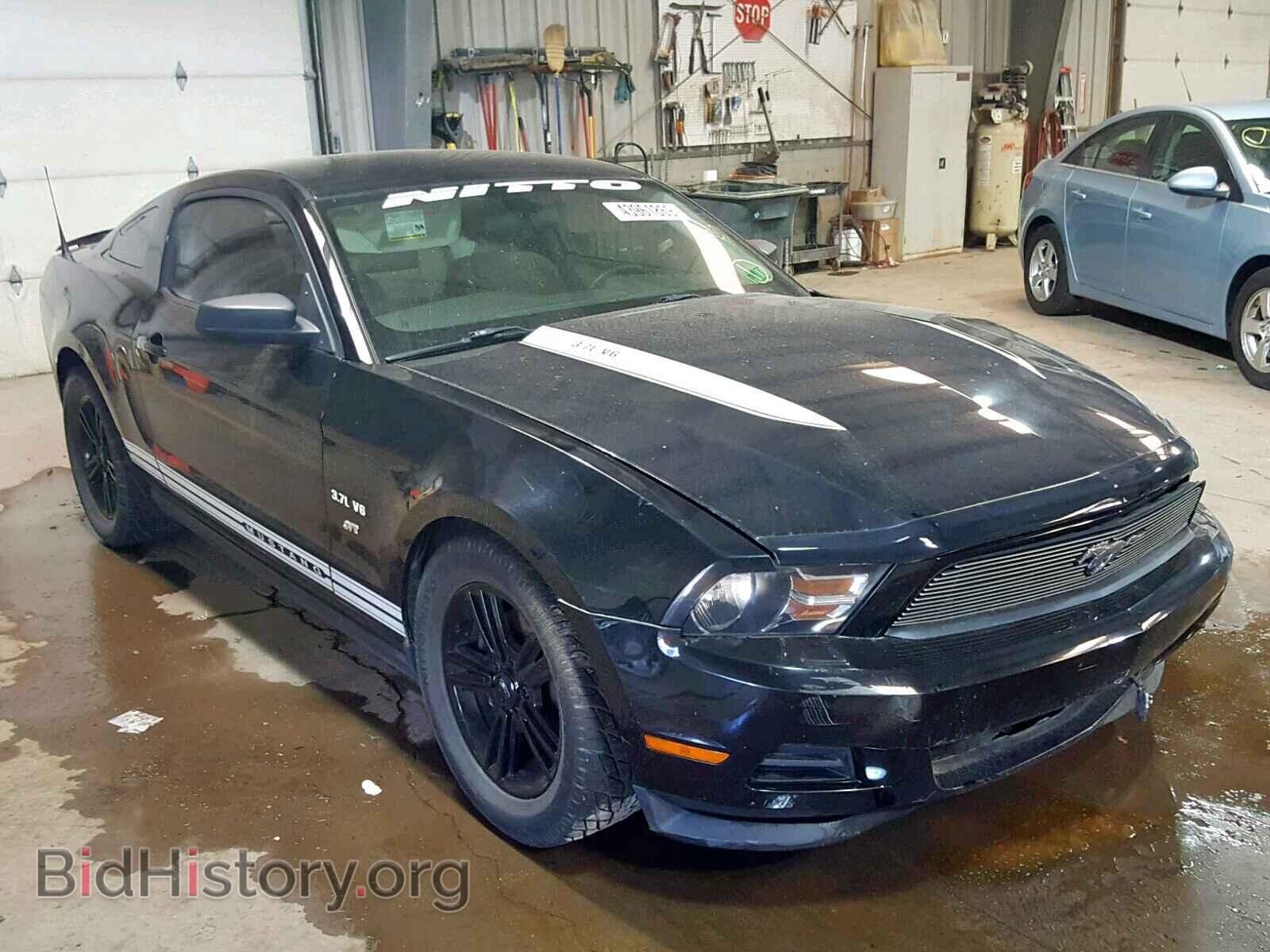 Фотография 1ZVBP8AM4B5116941 - FORD MUSTANG 2011
