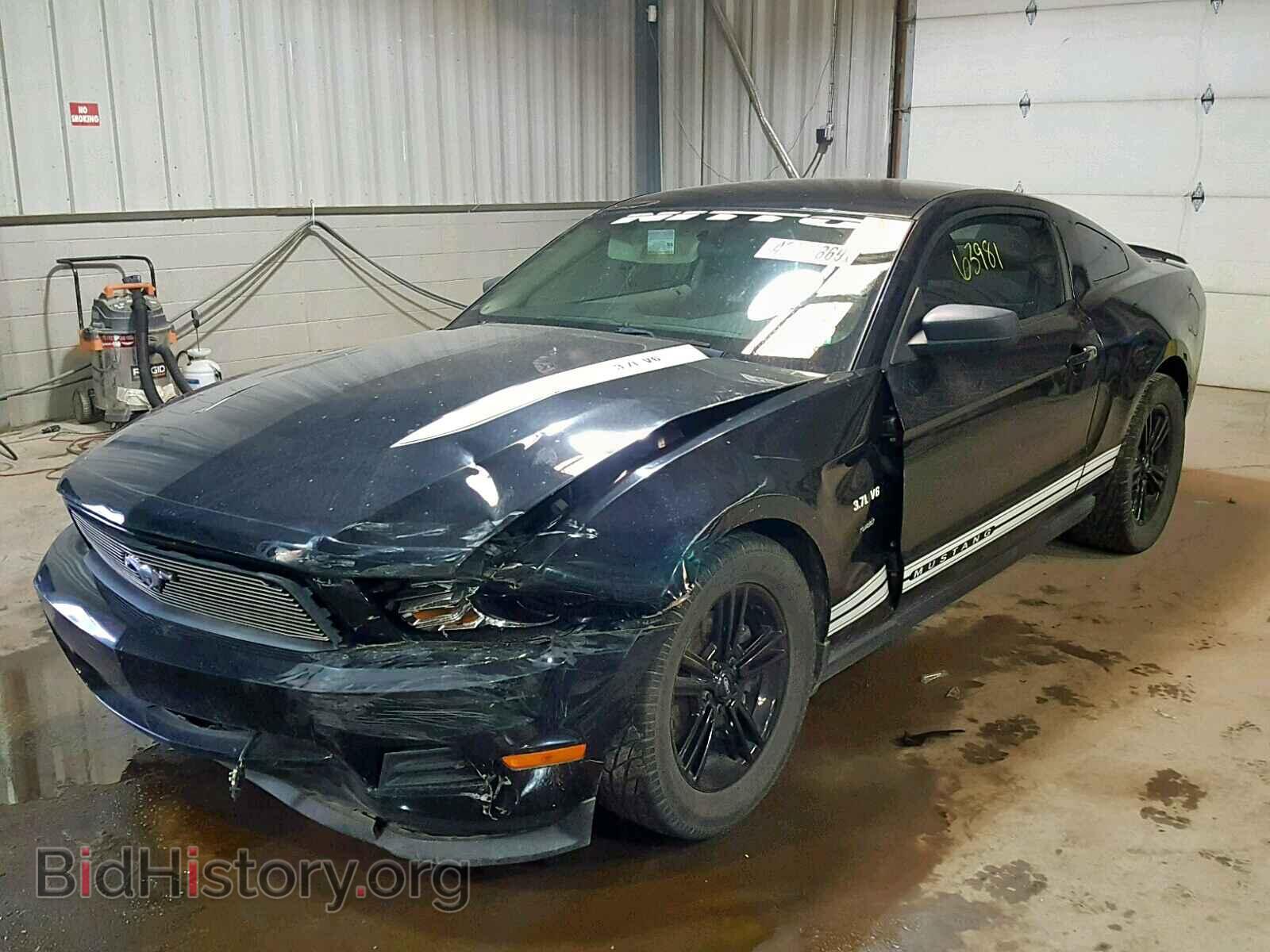 2011 FORD MUSTANG - VIN: 1ZVBP8AM4B5116941 - Фото 2