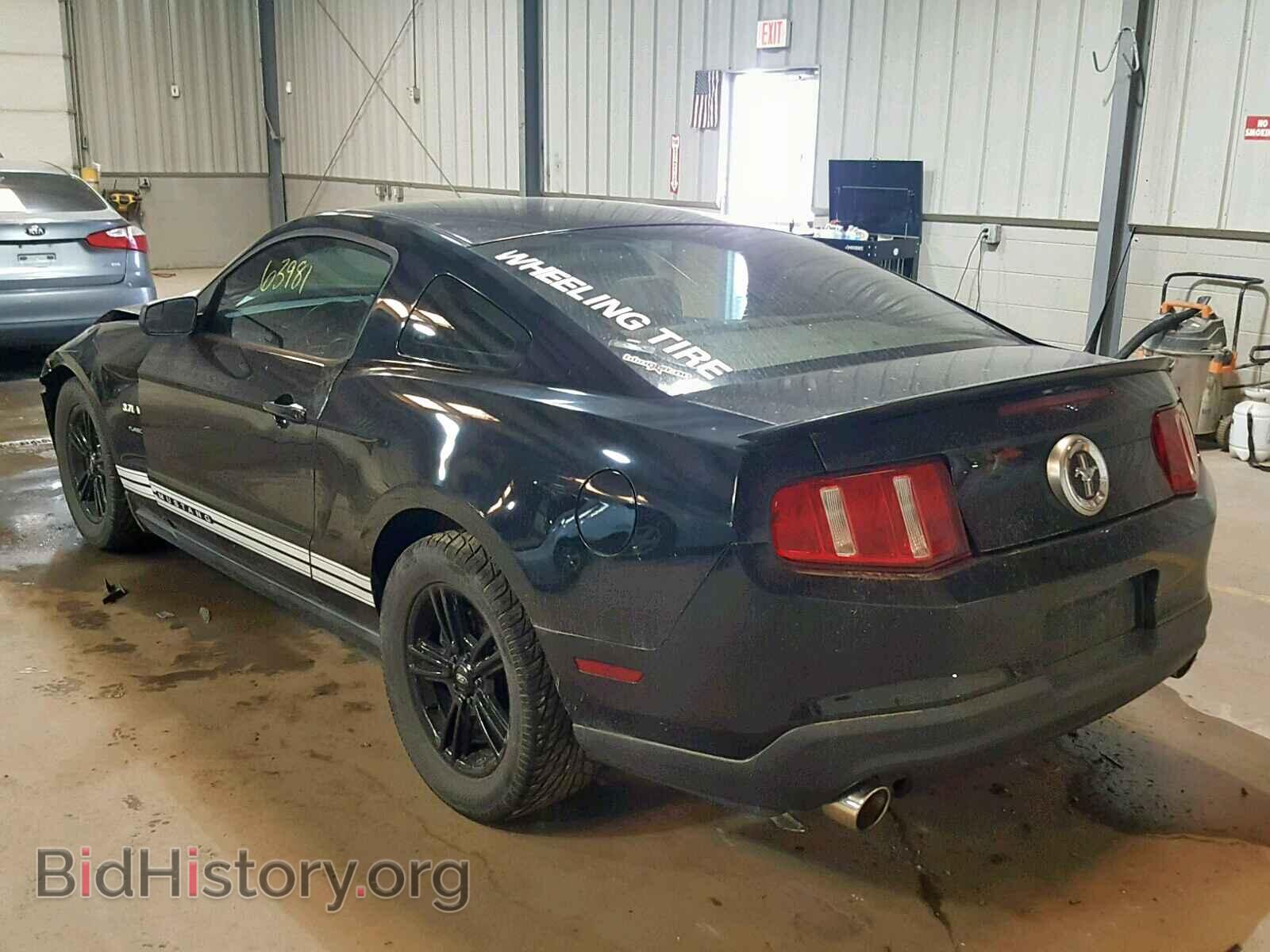 2011 FORD MUSTANG - VIN: 1ZVBP8AM4B5116941 - Фото 3