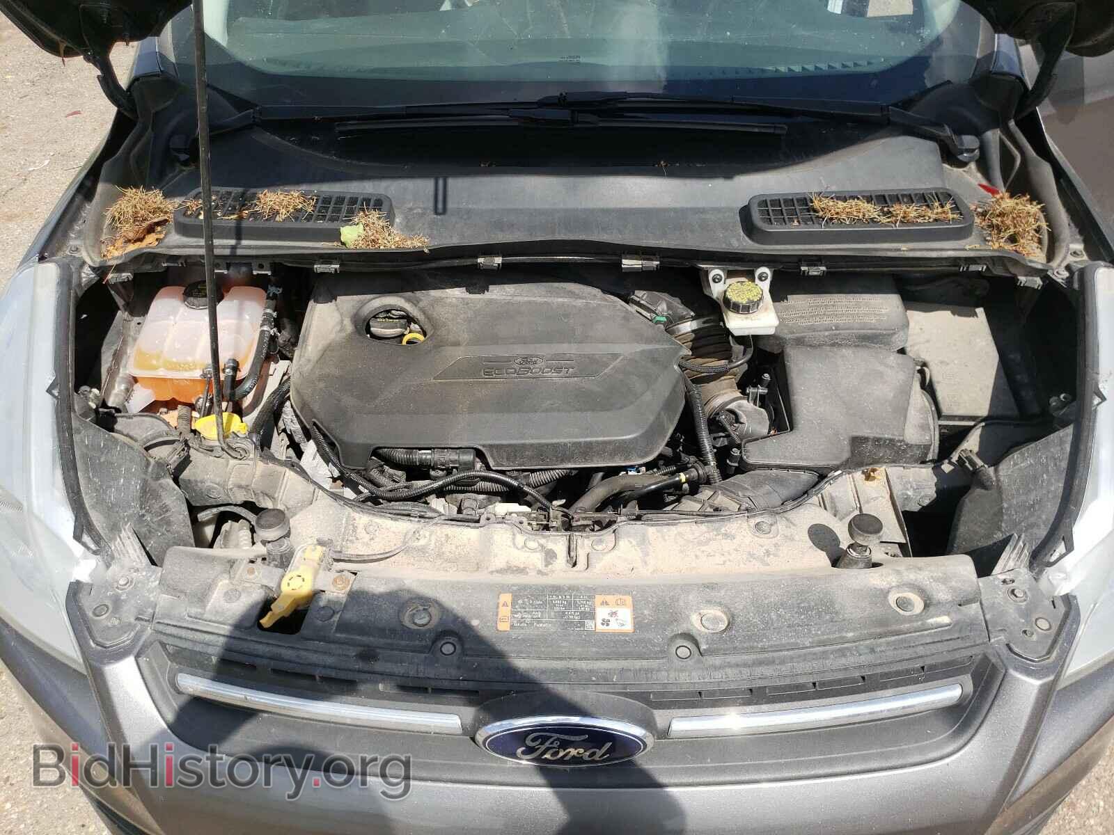 2014 FORD ESCAPE - VIN: 1FMCU0GX6EUB97272 - Фото 7