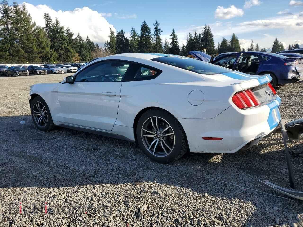 2017 FORD ALL Models - VIN: 1FA6P8TH0H5229448 - Фото 2