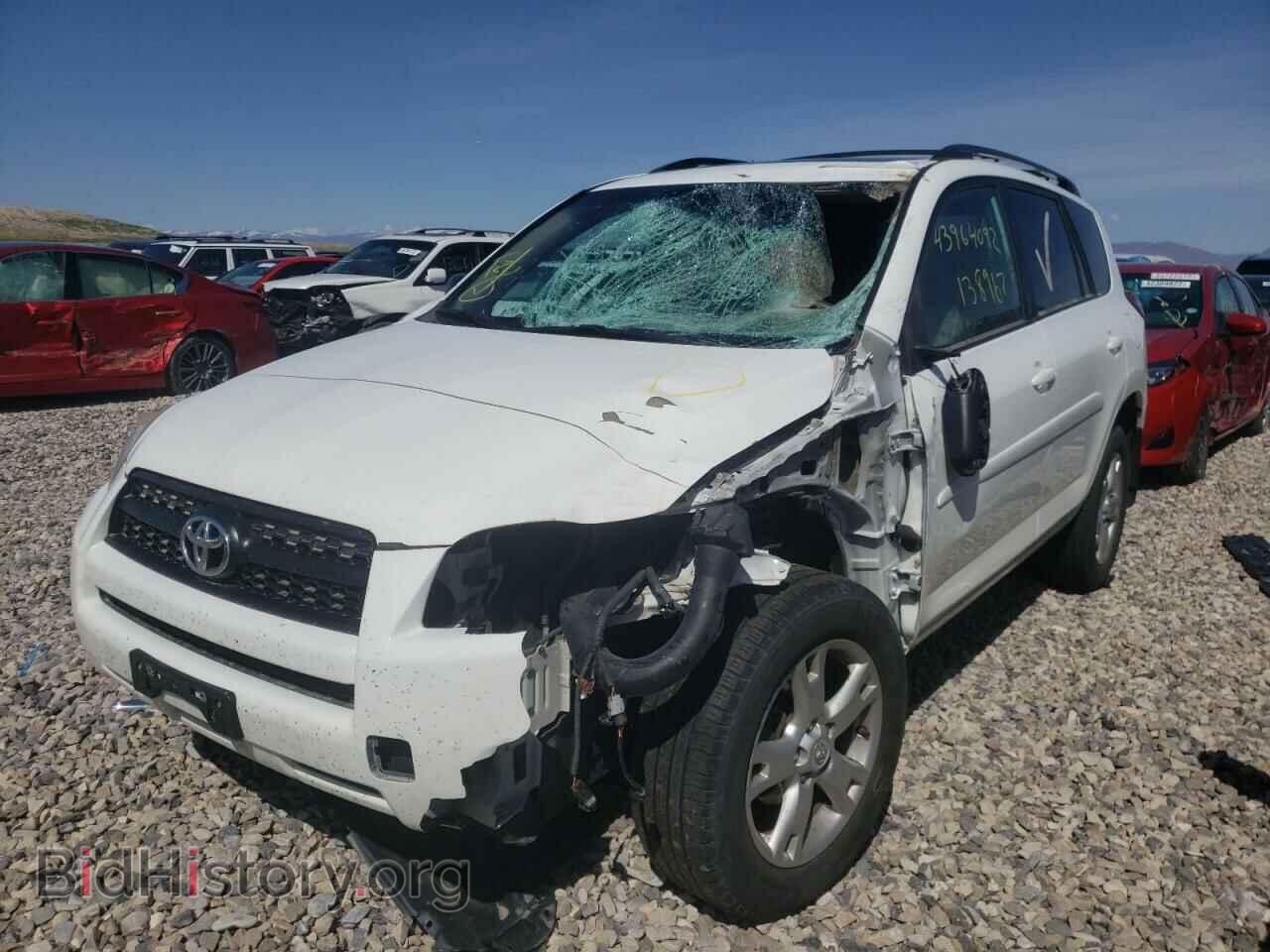 2011 TOYOTA RAV4 - VIN: 2T3BF4DV8BW110040 - Фото 2