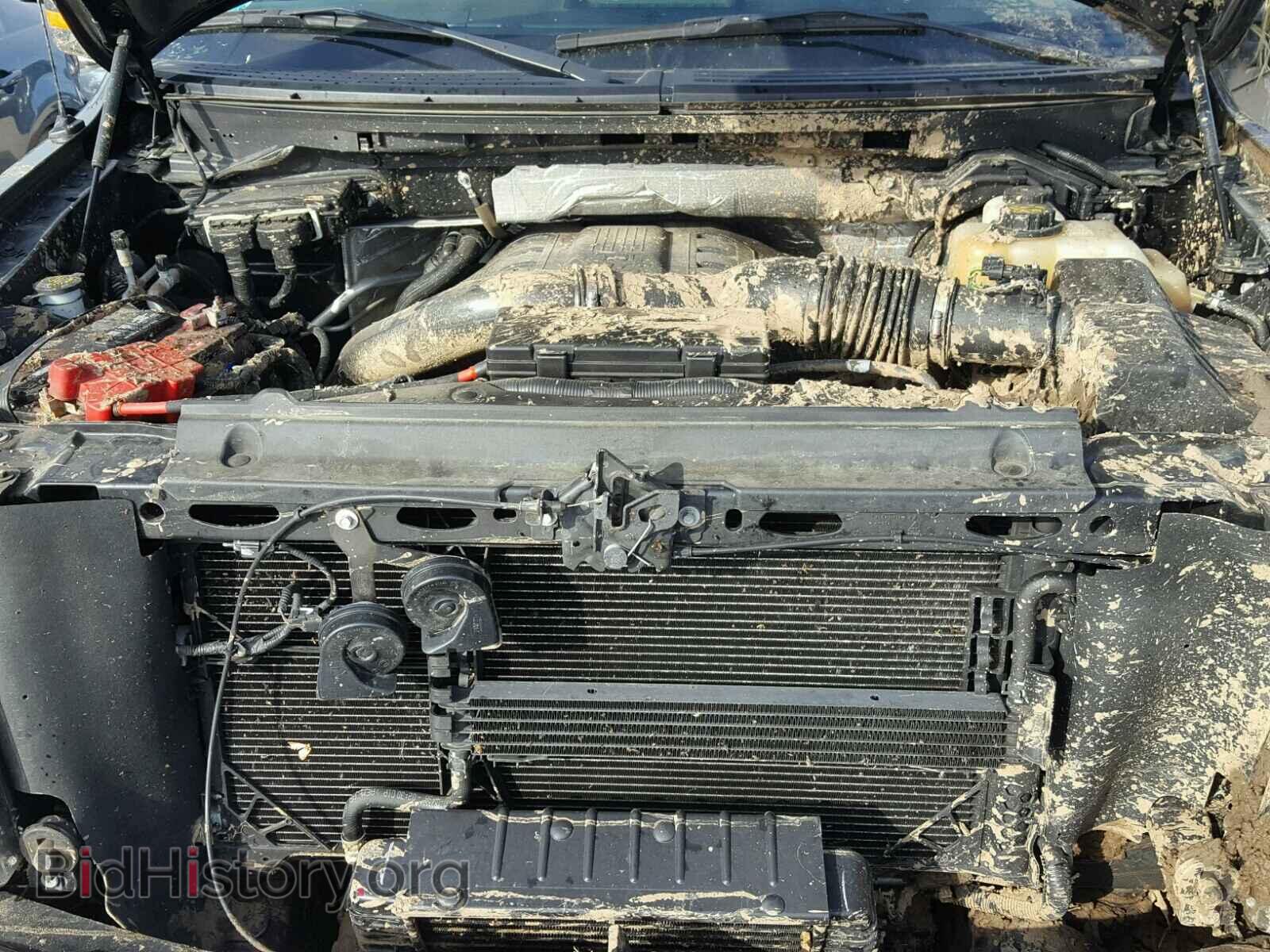2013 FORD F150 - VIN: 1FTFX1ET8DFB74075 - Фото 7