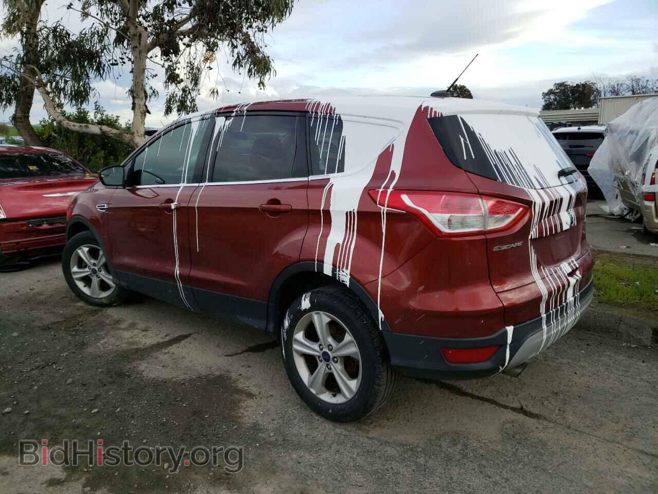 2014 FORD ESCAPE - VIN: 1FMCU0GX4EUB32405 - Фото 2