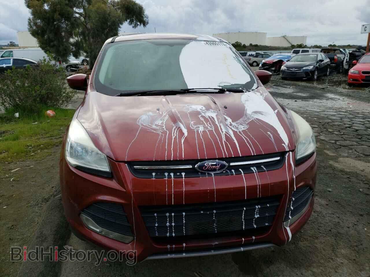 2014 FORD ESCAPE - VIN: 1FMCU0GX4EUB32405 - Фото 5