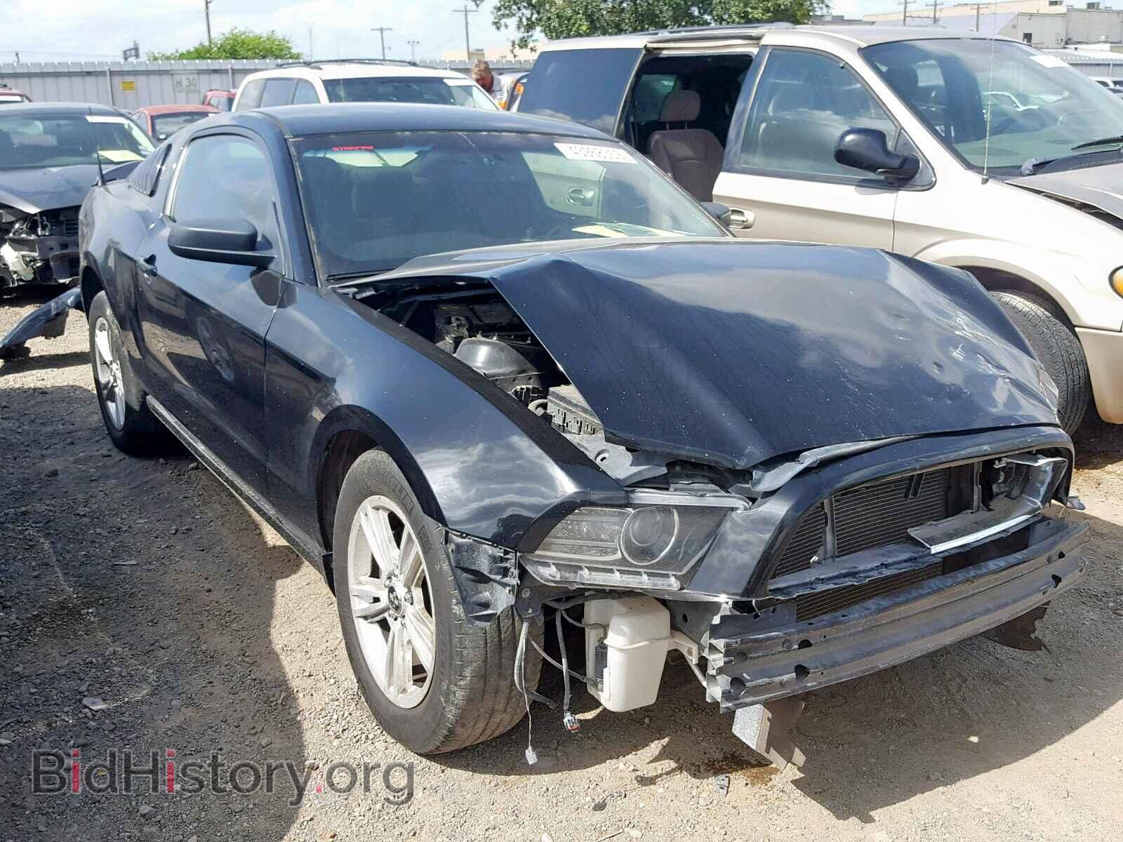 Photo 1ZVBP8AMXE5334600 - FORD MUSTANG 2014