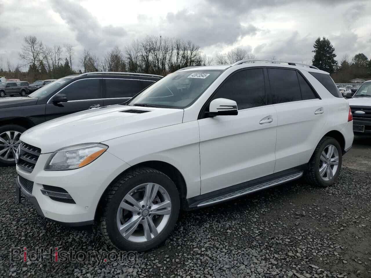 Photo 4JGDA2EB0EA290161 - MERCEDES-BENZ M-CLASS 2014