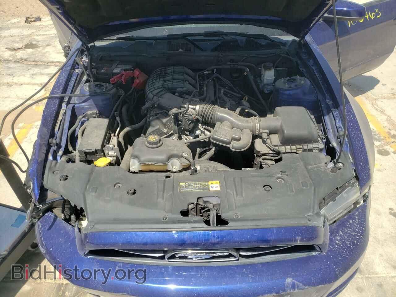 2013 FORD MUSTANG - VIN: 1ZVBP8AM4D5262467 - Фото 7