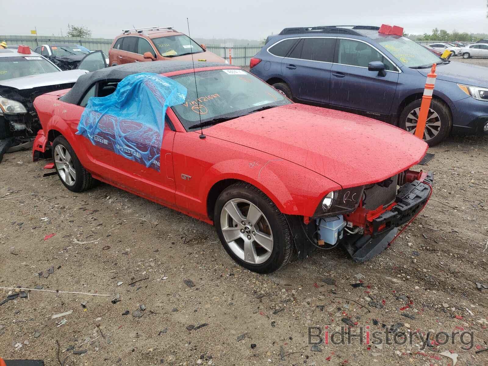 Photo 1ZVHT85H065121689 - FORD MUSTANG 2006