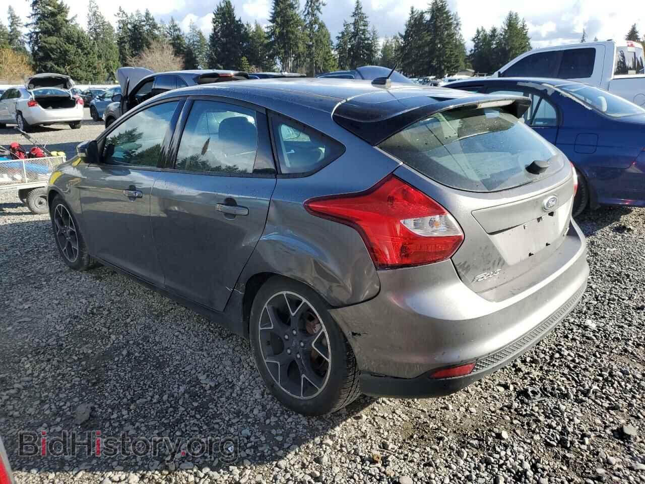 2013 FORD FOCUS - VIN: 1FADP3K22DL287400 - Фото 2