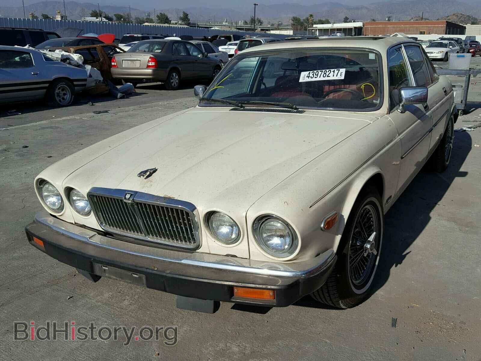 1987 JAGUAR XJ6 - VIN: SAJAV1345HC476461 - Фото 2