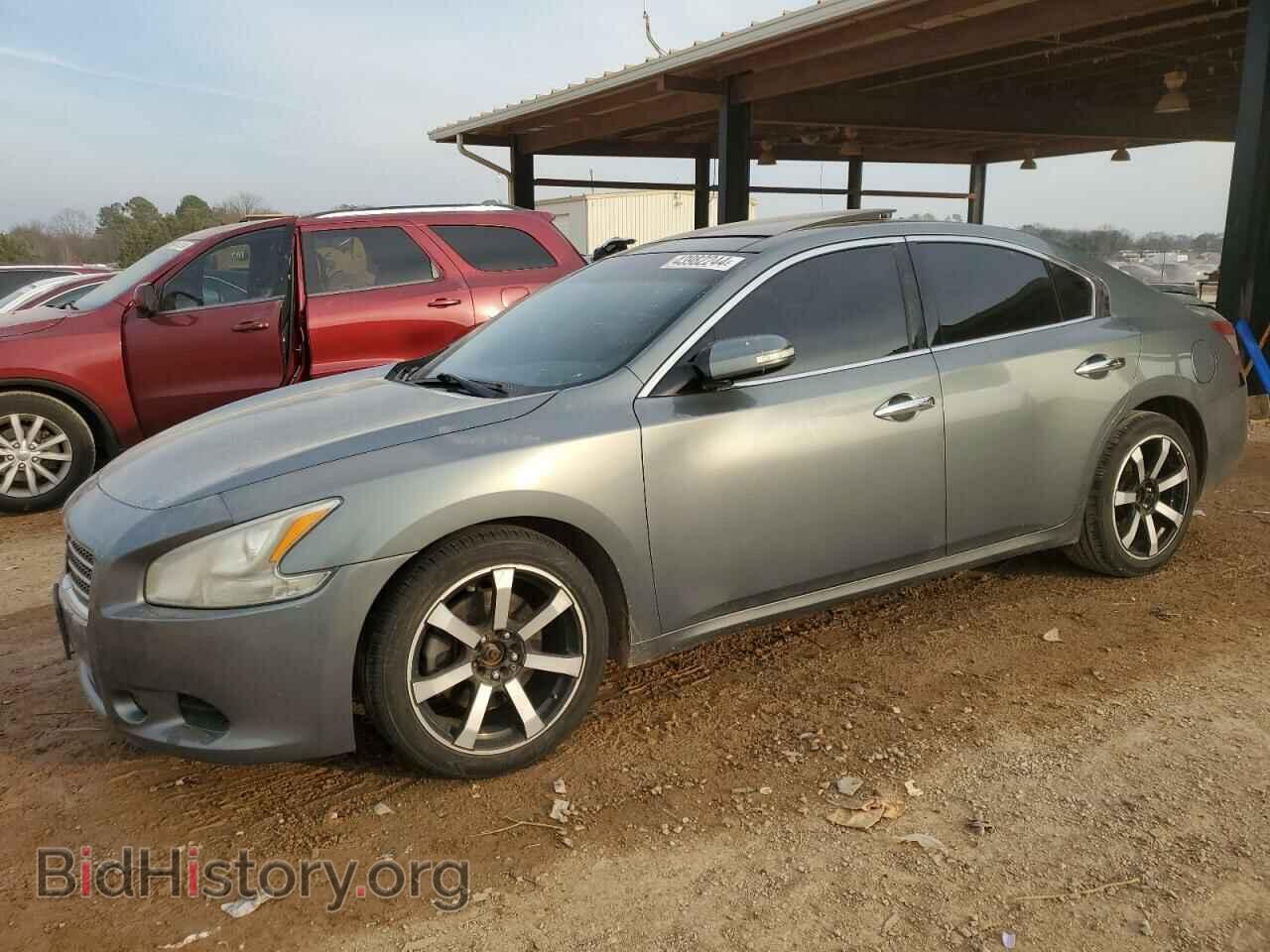 Фотография 1N4AA5AP8AC843881 - NISSAN MAXIMA 2010