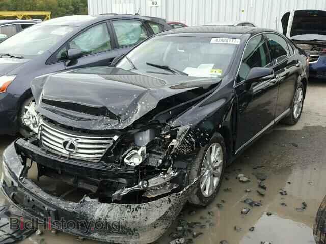 2011 LEXUS ES 350 - VIN: JTHBK1EG3B2446969 - Фото 2