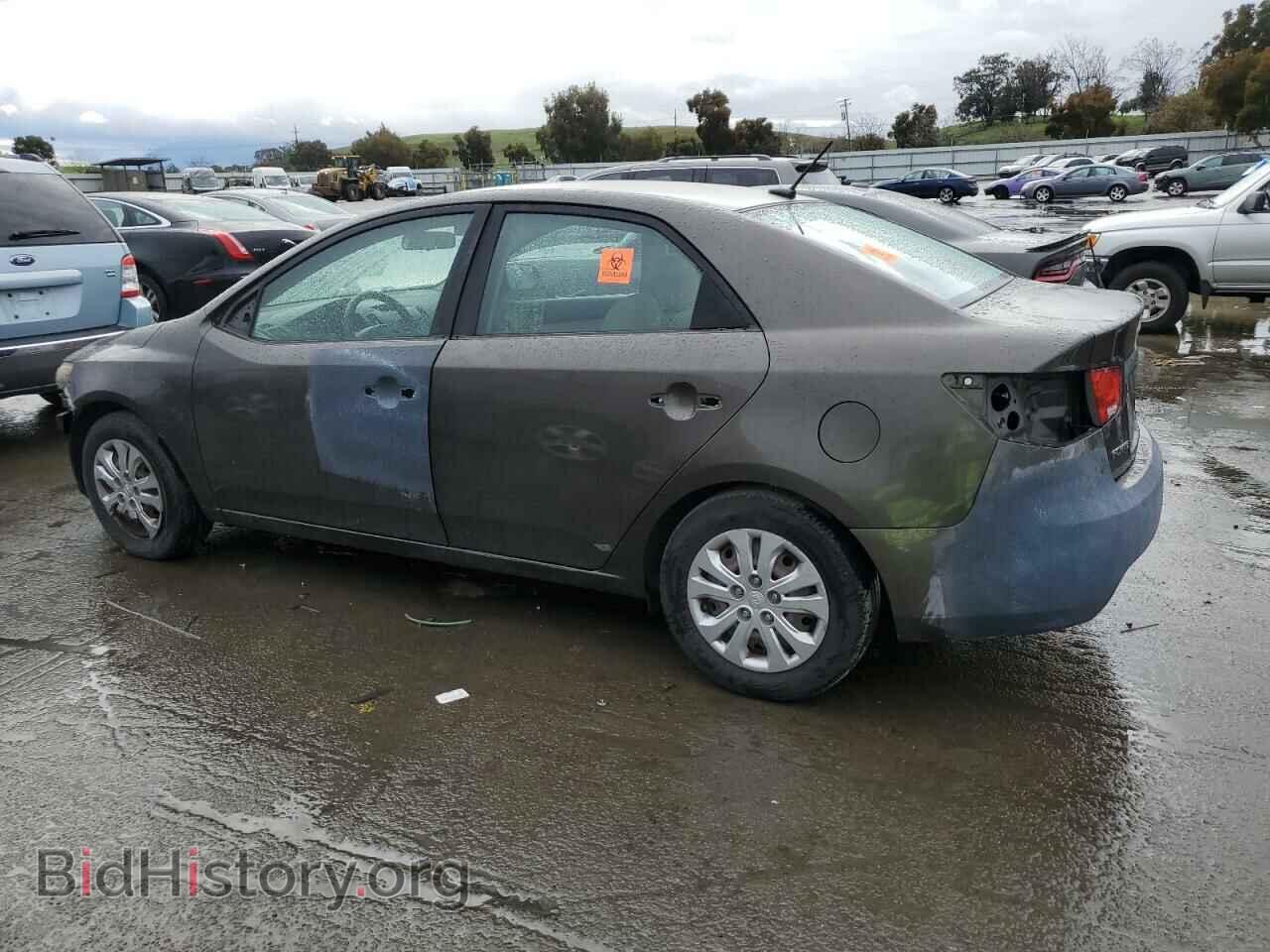 2011 KIA FORTE - VIN: KNAFU4A25B5403660 - Фото 2