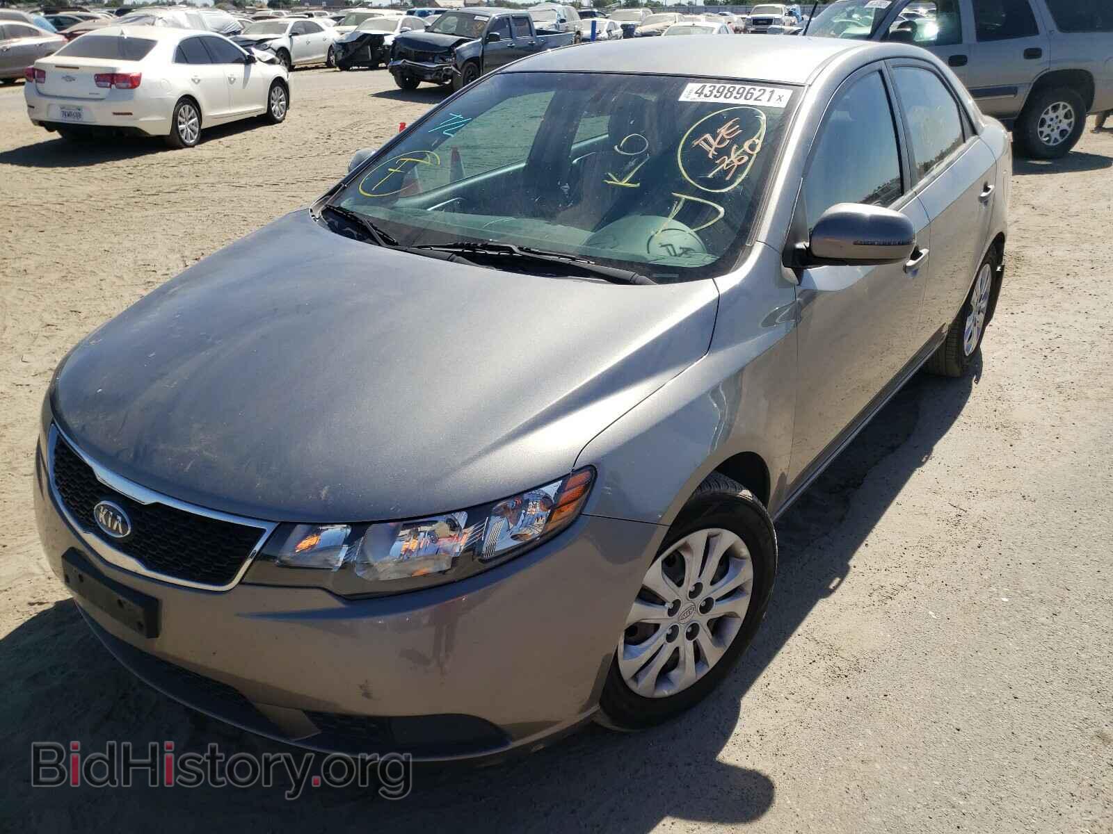 2013 KIA FORTE - VIN: KNAFU4A21D5672368 - Фото 2