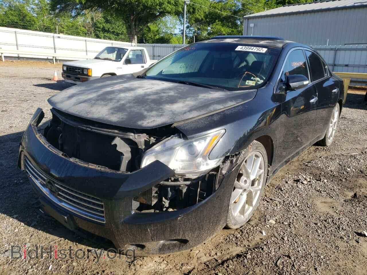 2010 NISSAN MAXIMA - VIN: 1N4AA5AP1AC812276 - Фото 2