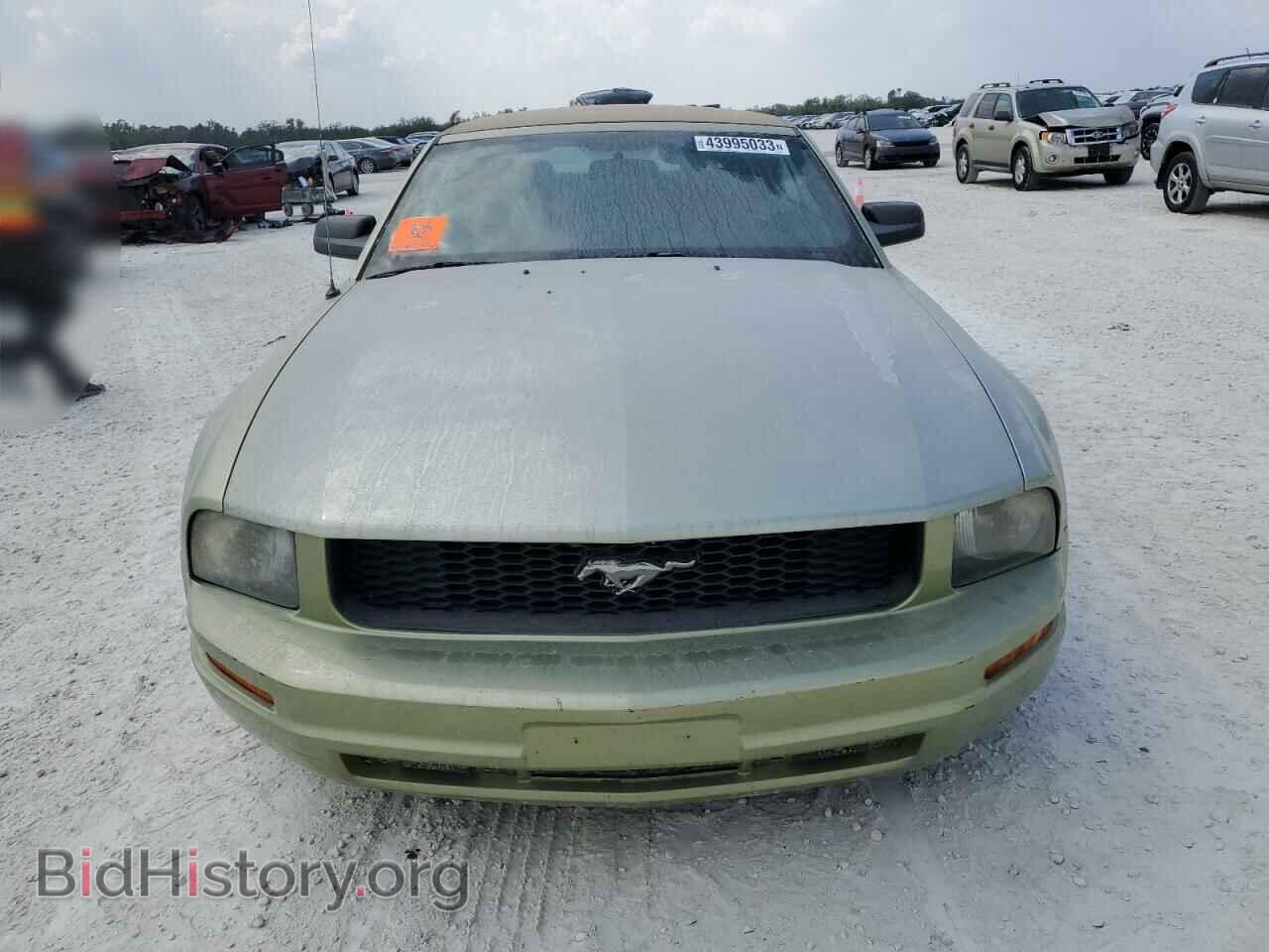2006 FORD MUSTANG - VIN: 1ZVFT84N565245360 - Фото 5