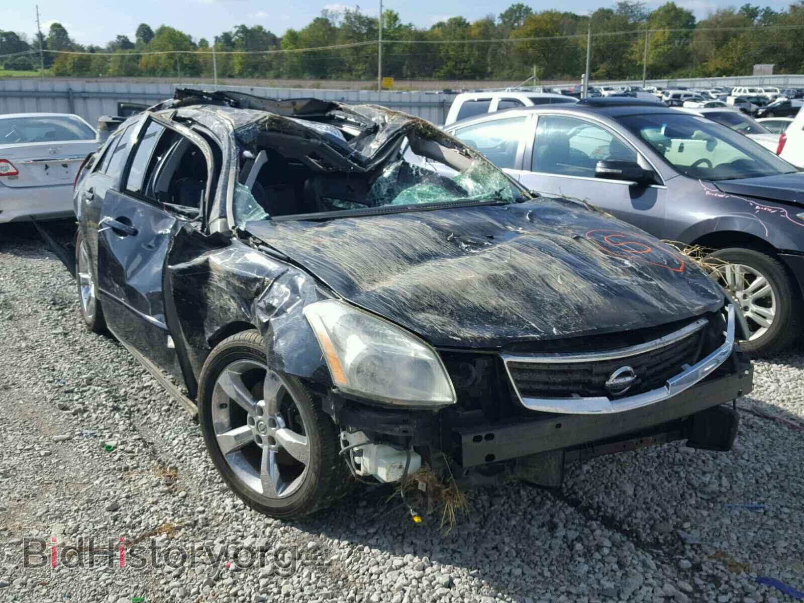 Photo 1N4BA41E38C823674 - NISSAN MAXIMA 2008
